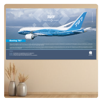 afiches aviones, posters, cuadros y retablos de helicópteros, fotos boeing 787, B787, b787